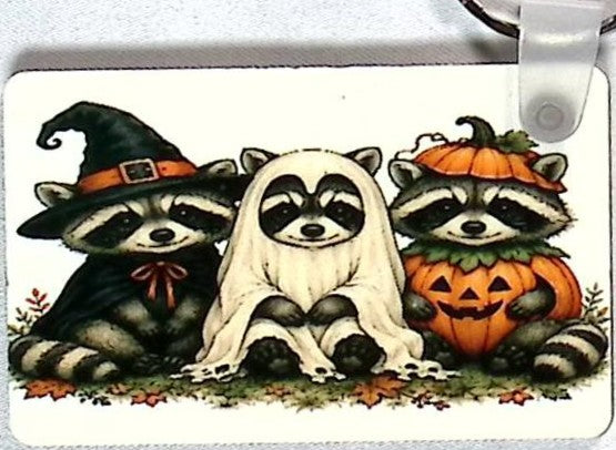 Raccoons in Costume Rectangular Key Chain